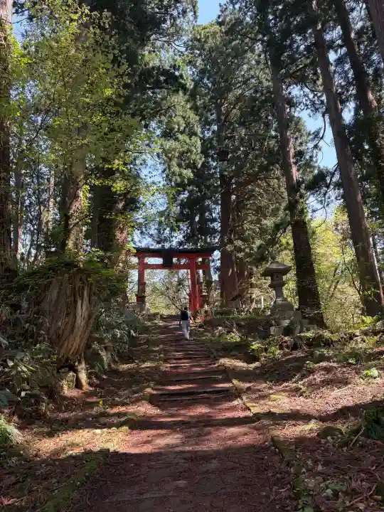 羽黒山五重塔(出羽三山神社)(山形県)