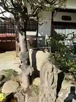 龍泉院(東京都)