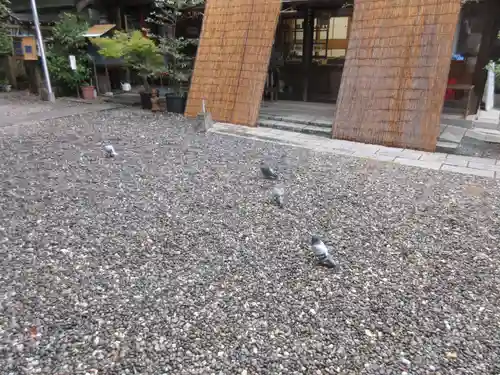 高知八幡宮(高知県)