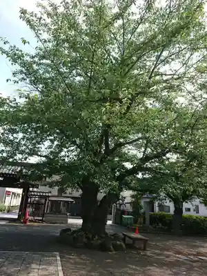 妙善寺のその他建物