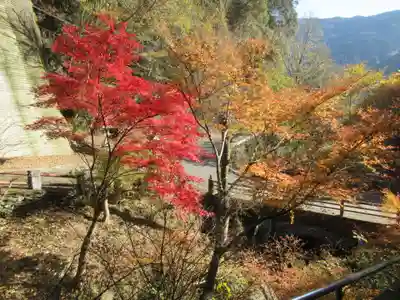 仙龍寺(愛媛県)