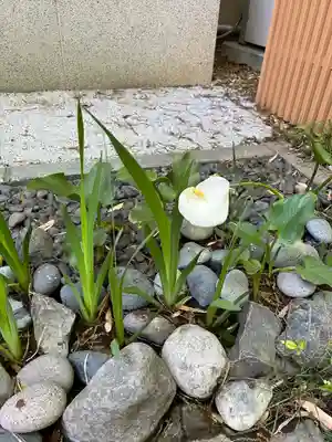 行田八幡神社(埼玉県)