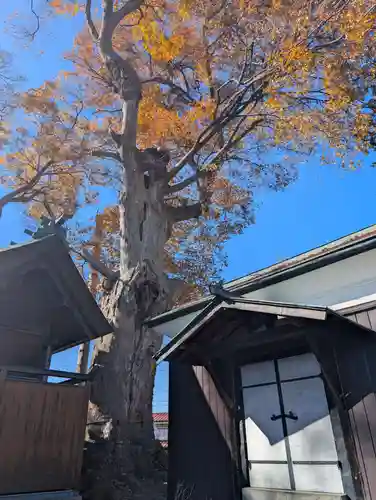 達屋酢蔵神社(長野県)