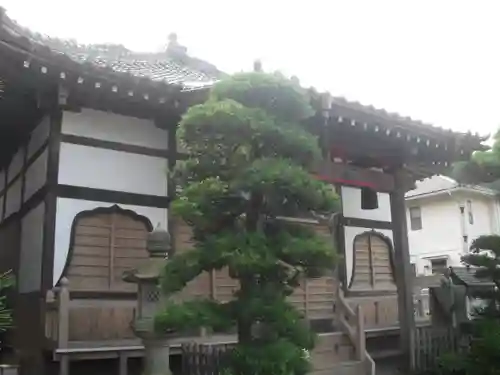 来迎寺（材木座）の本殿・本堂