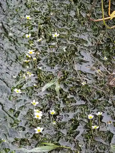 西勝寺(福島県)