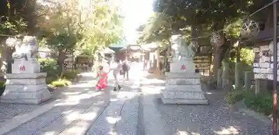 菊田神社の狛犬