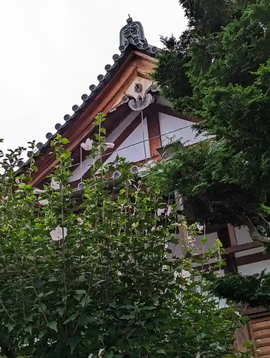 西雲院(京都府)
