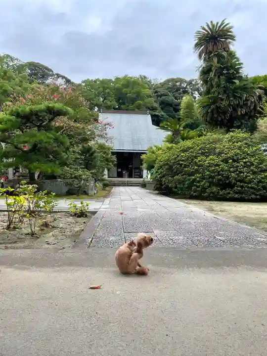 伊勢の国 四天王寺の動物