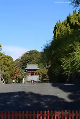 鶴岡八幡宮の本殿・本堂