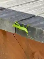 蚊里田八幡宮(長野県)