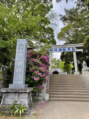 玉川神社の鳥居