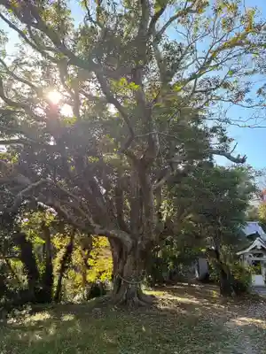 遠見岬神社(千葉県)