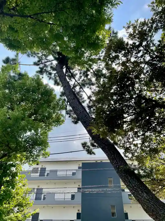 神明神社(神奈川県)