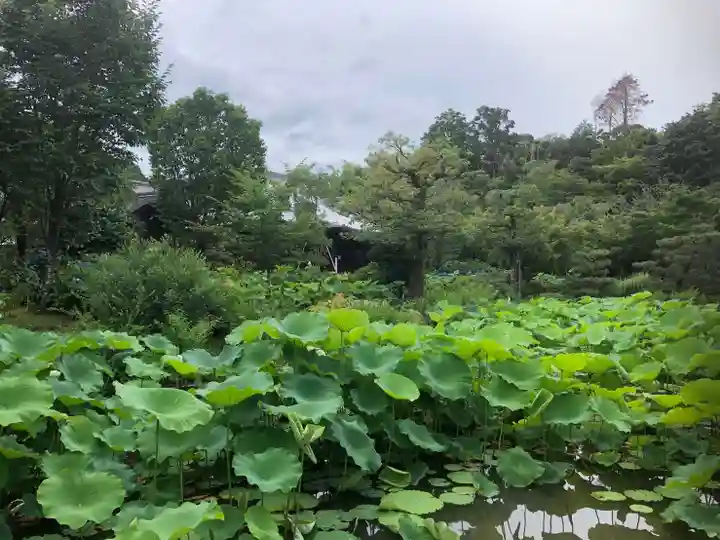 法金剛院の自然