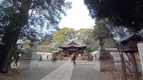 代々木八幡宮の本殿・本堂