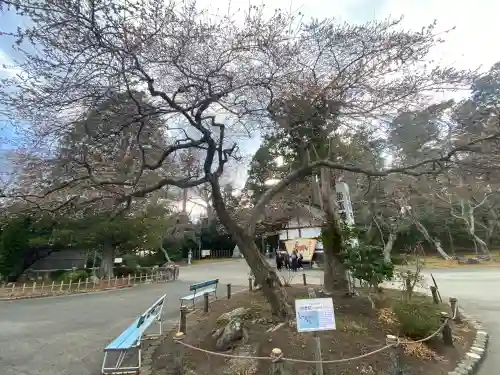 志波彦神社・鹽竈神社の{uncategorized: "未分類", other: "その他", undefined: "問題あり", building: "その他建物", grave: "お墓", sacred_gate: "鳥居", guardian: "狛犬", statue: "像", buddha: "仏像", history: "歴史", nature: "自然", garden: "庭園", animal: "動物", pagoda: "塔", temizu: "手水舎", mountain_gate: "山門・神門", sanctuary: "本殿・本堂", subordinate: "末社・摂社", art: "芸術", scenery: "景色", jizo: "地蔵", ema: "絵馬", goshuin: "御朱印", omikuji: "おみくじ", items: "授与品その他", amulet: "お守り", goshuincho: "御朱印帳", eats: "食事", festival: "お祭り", votive_dance: "神楽", shichigosan: "七五三参", wedding: "結婚式", experience: "体験その他", initially: "初詣", around: "周辺", anti_infection: "感染症対策"}