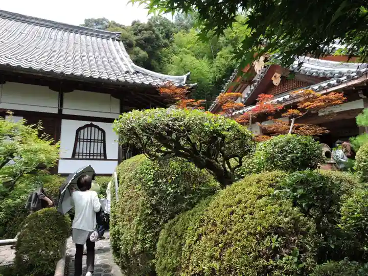 華厳寺(鈴虫寺)(京都府)