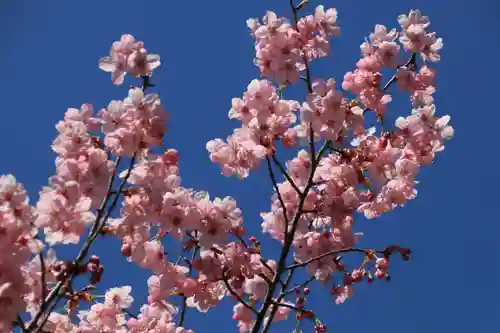 大六天麻王神社の庭園