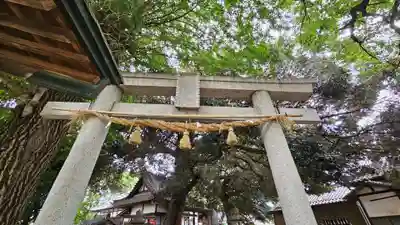 諏訪大神社 (埼玉県)