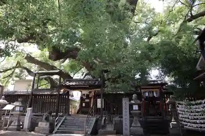 三島神社(大阪府)