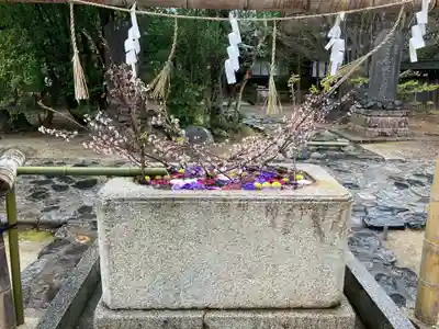 飯野八幡宮の手水舎