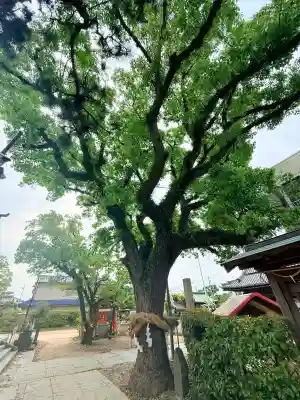 稲爪神社の{uncategorized: "未分類", other: "その他", undefined: "問題あり", building: "その他建物", grave: "お墓", sacred_gate: "鳥居", guardian: "狛犬", statue: "像", buddha: "仏像", history: "歴史", nature: "自然", garden: "庭園", animal: "動物", pagoda: "塔", temizu: "手水舎", mountain_gate: "山門・神門", sanctuary: "本殿・本堂", subordinate: "末社・摂社", art: "芸術", scenery: "景色", jizo: "地蔵", ema: "絵馬", goshuin: "御朱印", omikuji: "おみくじ", items: "授与品その他", amulet: "お守り", goshuincho: "御朱印帳", eats: "食事", festival: "お祭り", votive_dance: "神楽", shichigosan: "七五三参", wedding: "結婚式", experience: "体験その他", initially: "初詣", around: "周辺", anti_infection: "感染症対策"}