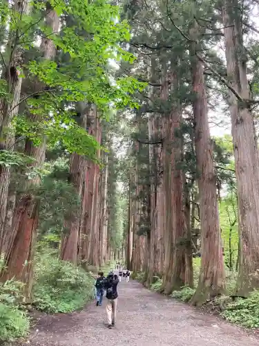 戸隠神社奥社(長野県)