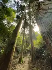 御岩神社の自然