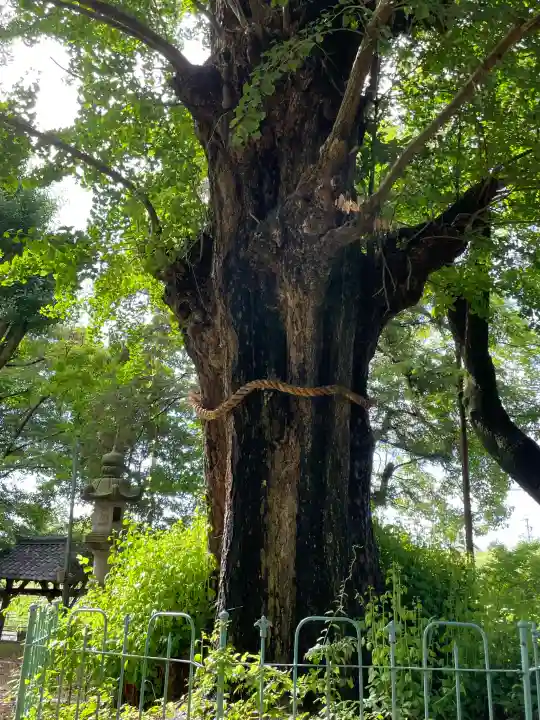 鞆江神社(明地)(愛知県)