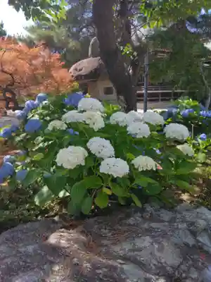 葛飾八幡宮(千葉県)