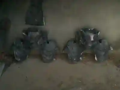 覚成寺のその他建物