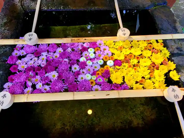 土津神社|こどもと出世の神さまの手水舎