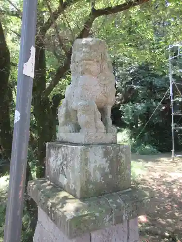 手白神社の狛犬