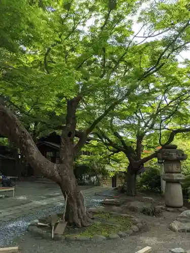 鎌倉宮の庭園