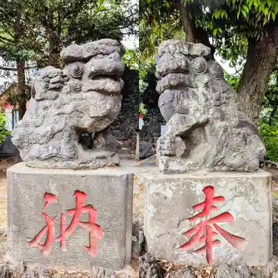 当代島稲荷神社の狛犬