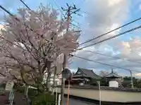 妙覚寺(静岡県)