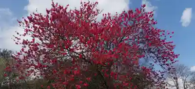 西善寺(埼玉県)