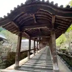 長谷寺(奈良県)