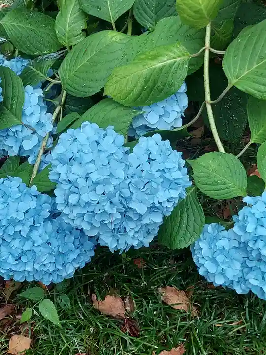御裳神社(愛知県)