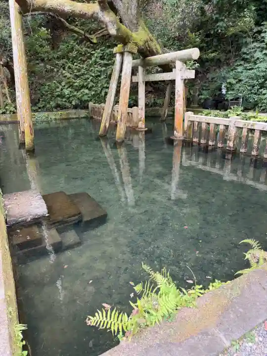 鹿島神宮(茨城県)