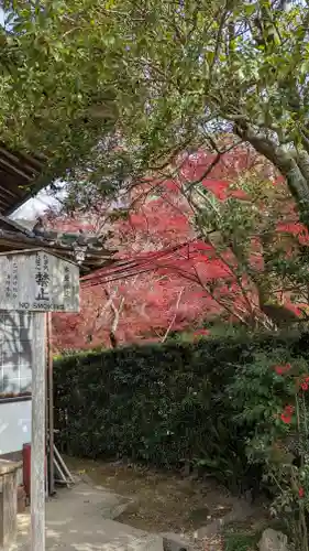 乗願寺(京都府)