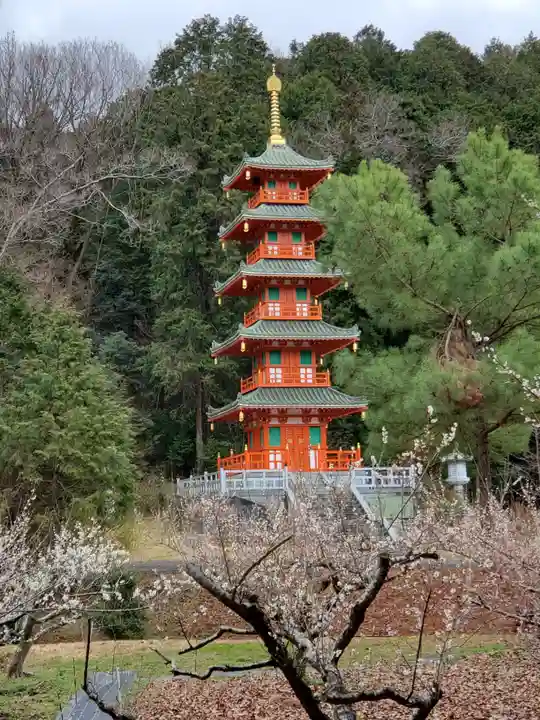 金剛寺のその他建物