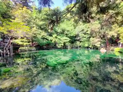 涌釜神社(栃木県)