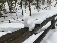 北海道神宮(北海道)