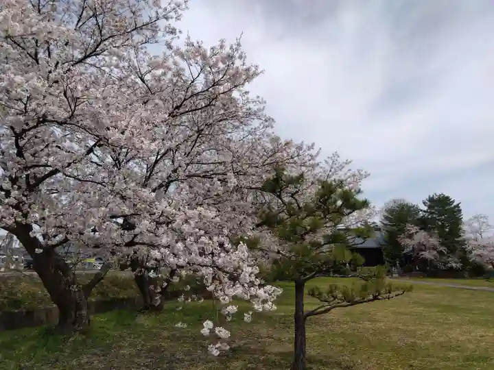 琵琶神社(福井県)