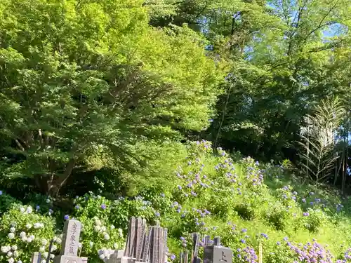 天台宗　長窪山　正覚寺の自然