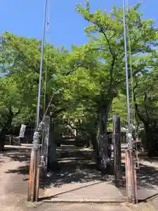 天鷹神社(岐阜県)(2024年05月31日(金) 11時32分05秒投稿)