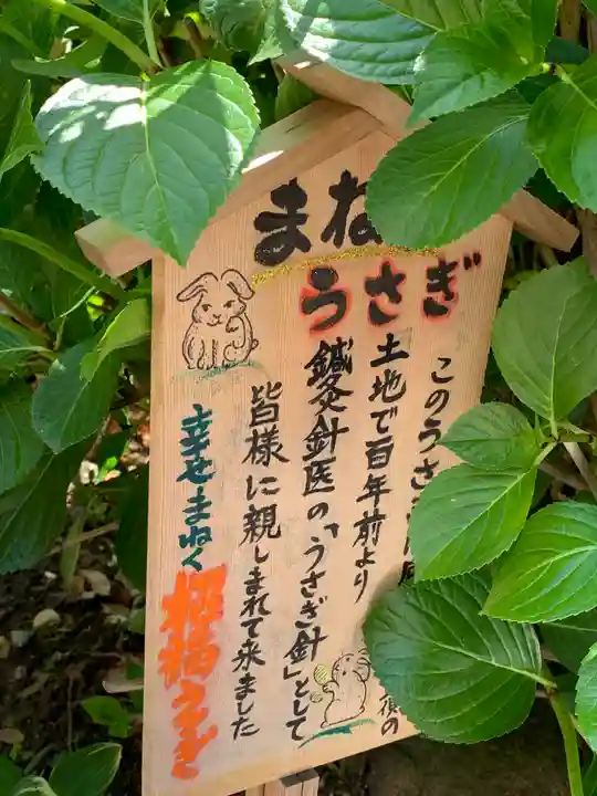 尼崎えびす神社(兵庫県)