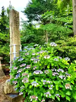 隠津島神社(福島県)