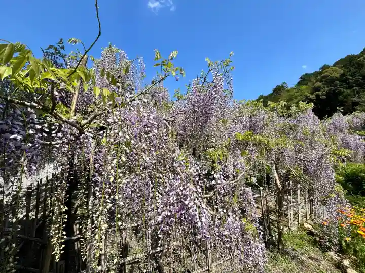 白毫寺熊野権現社(兵庫県)